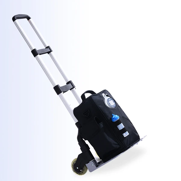 LOVEGO 1-4.5Liters/Min Low Noise Portable Oxygen Concentrator