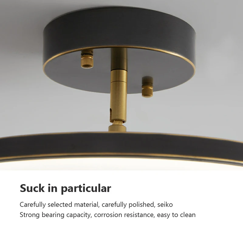 Modern LED Ceiling Light Minimalist Black Gold Rotatable Copper Lamps For Bedroom Living Room Entrance Hall Hallway Illumination
