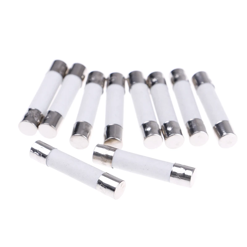 10 Pcs Ceramic Fuse Microwave Electric 20A 250V Home Supplies DIY 6x30mm
