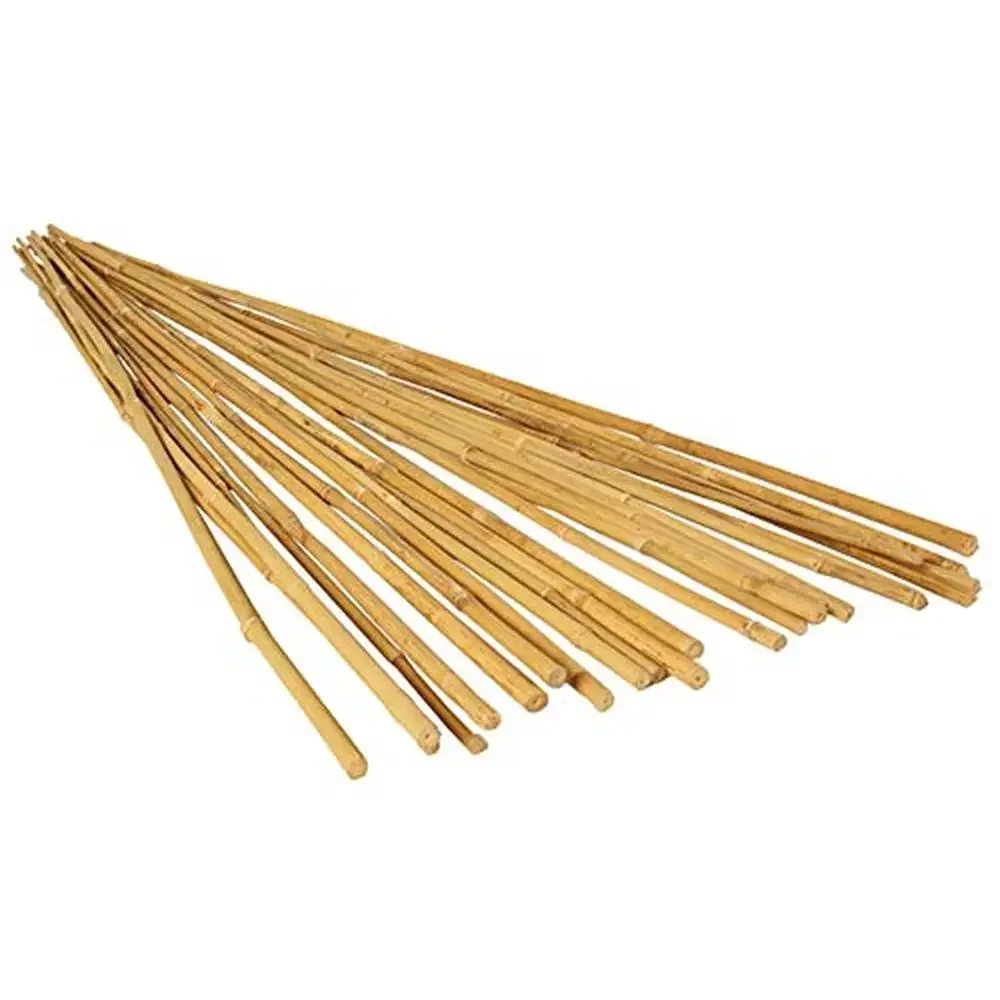 Heavy Duty Flexible Plant Support Twist Ties 50cm Length 10-Pack