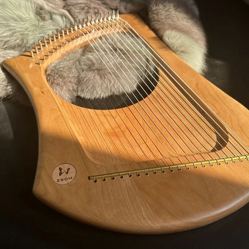 22 Strings Lyre Harp Luxury Rosewood Diatonic Scale Harps Portable Professional Lyre Music Performance Rare Stringed Instruments