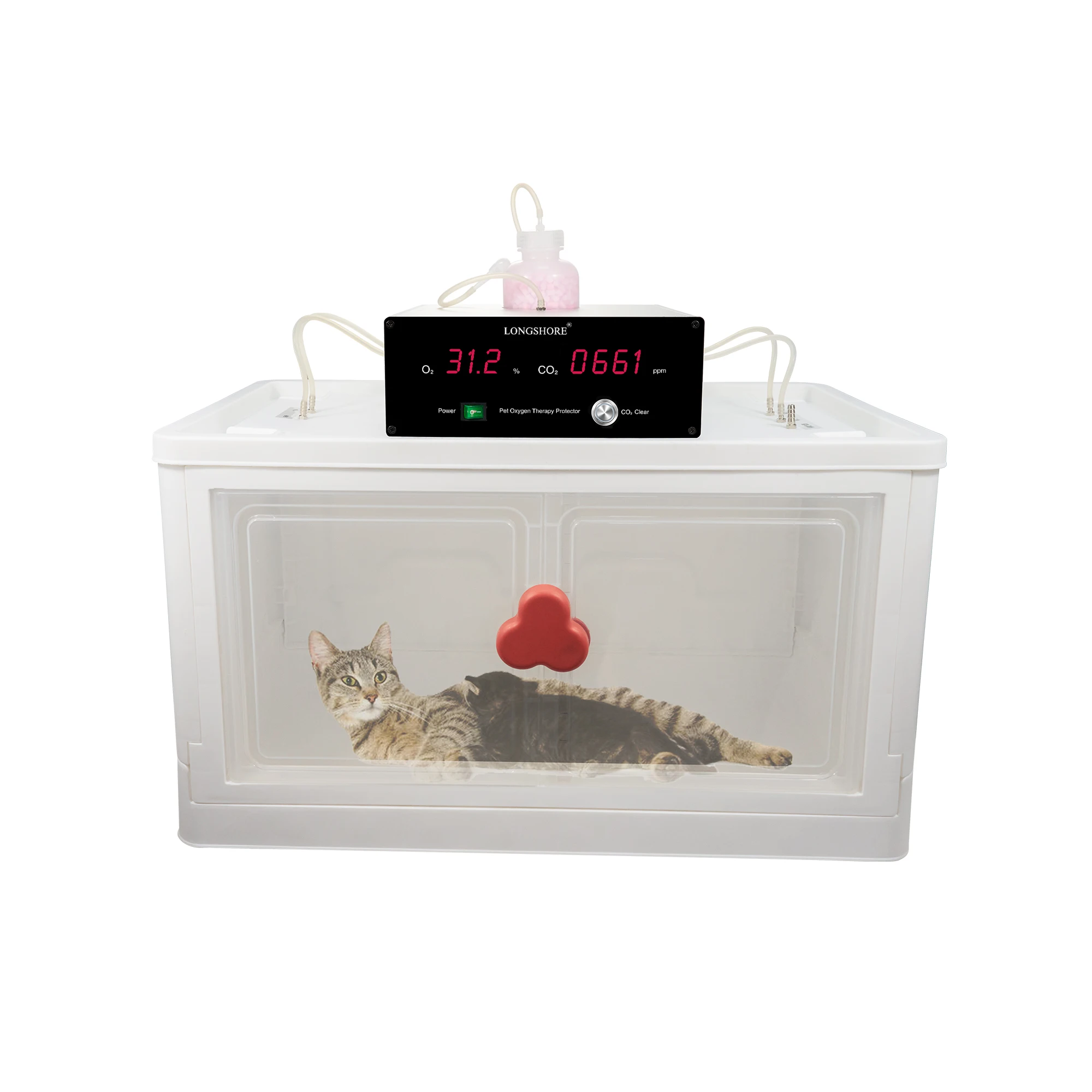 Store Home Products Feedback