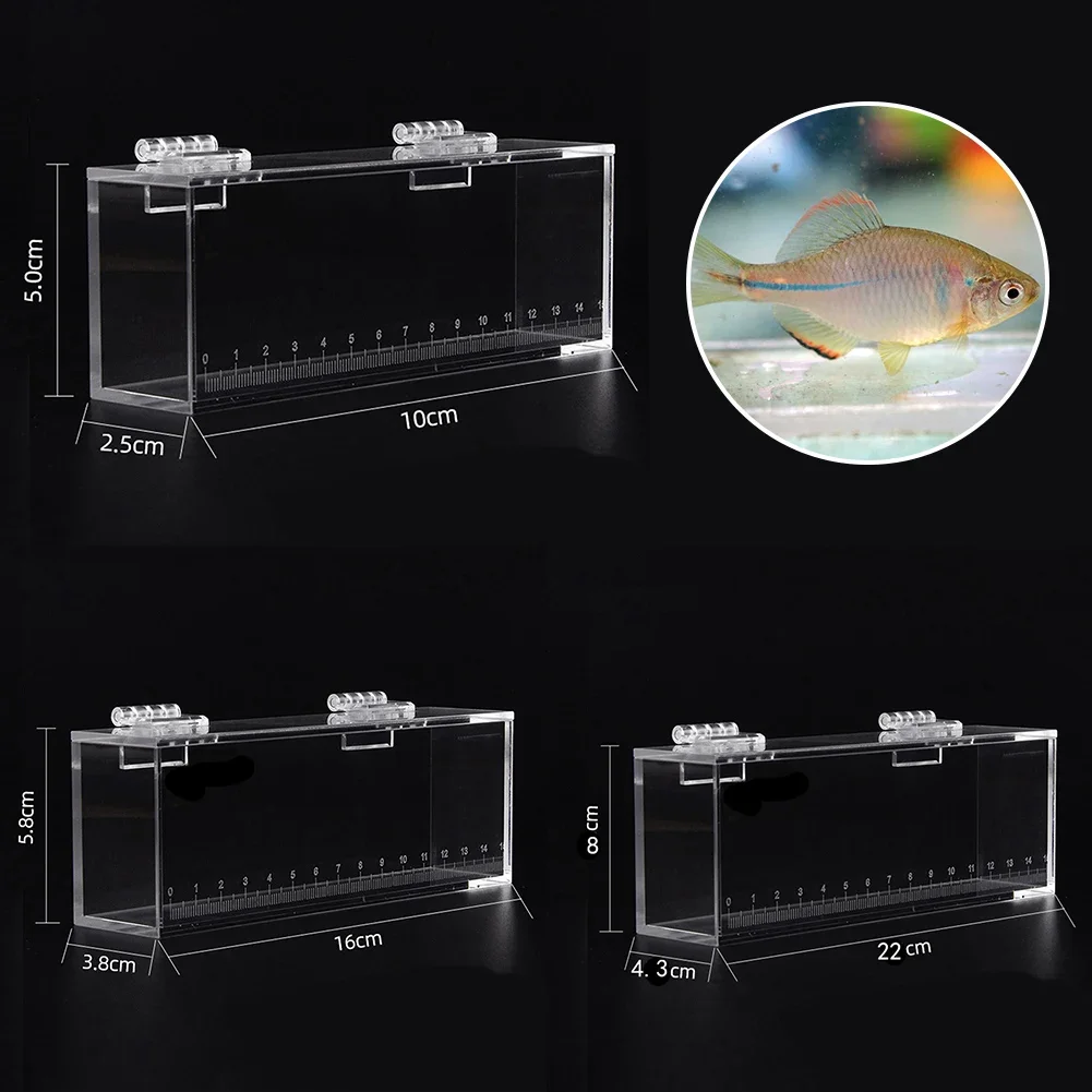 1PCS Transparent Acrylic Fish Viewing Box High Clear Portable With Scale Crystal Fish Box Desktop Ornaments Party Home Decor