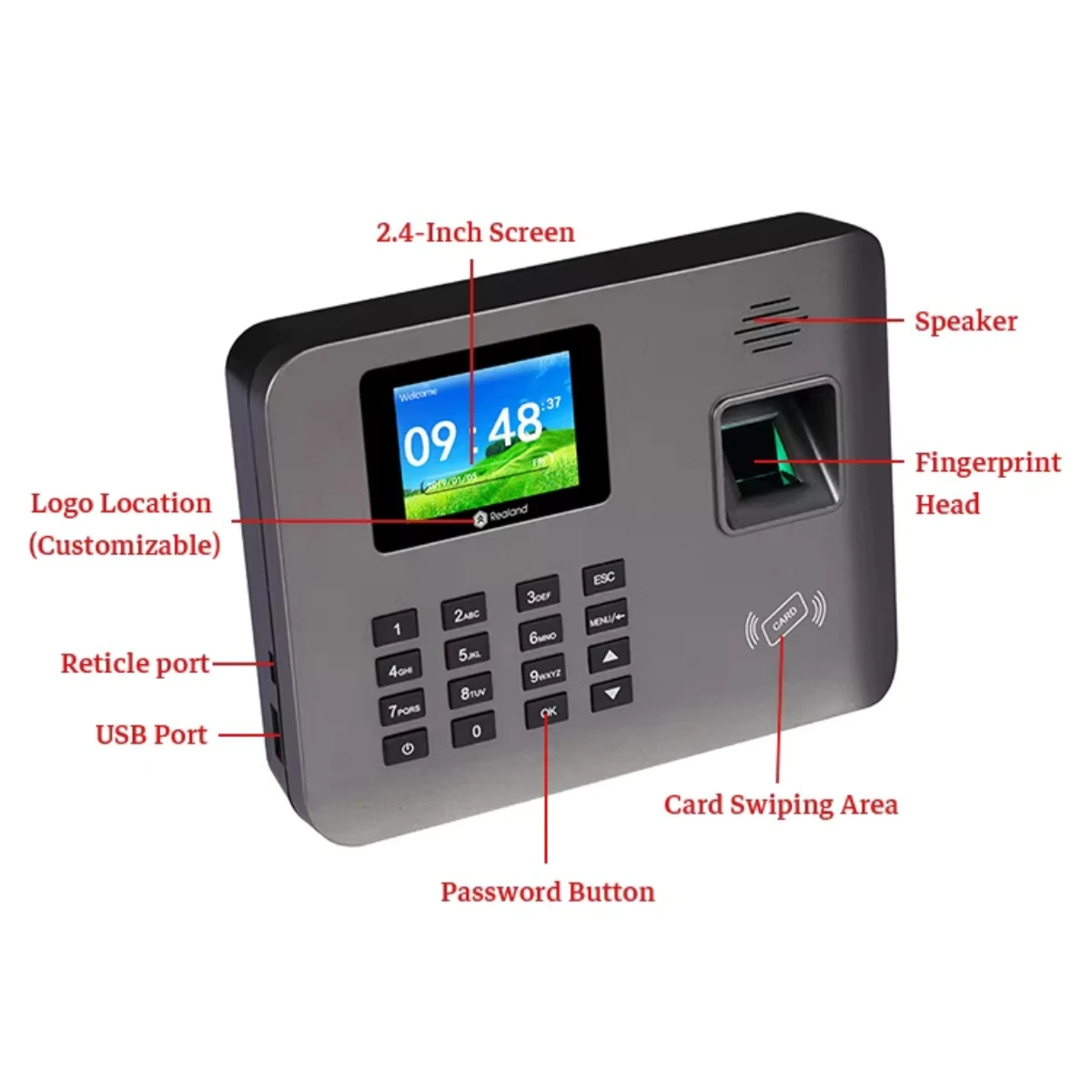 Realand A-L321 2.4인치 얼굴 지문 인식 시간 출석 기계 RFID 카드 TCP/IP/USB(배터리 포함)