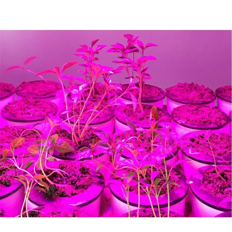 300LED 풀 스펙트럼 E27 220V, 더 빠른 LED 성장 조명 스폿 램프, UV IR 레드 블루, 꽃 식물 수경 재배 전구용, 60 80 200