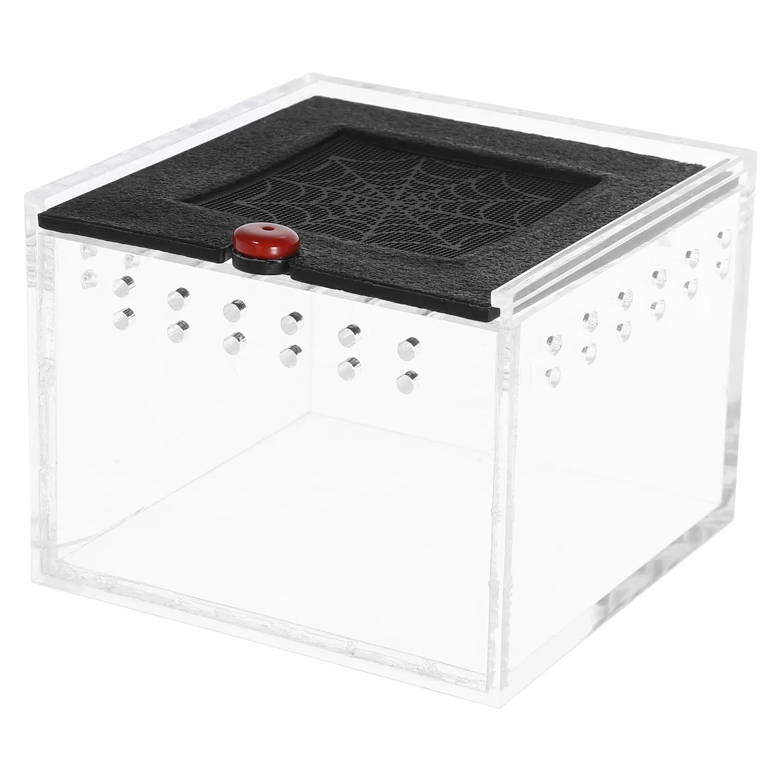 1Pcs 파충류를위한 아크릴 애완 동물 사육 상자 작은 동물 환기 구멍 편안한 환경 거미 전갈 먹이통