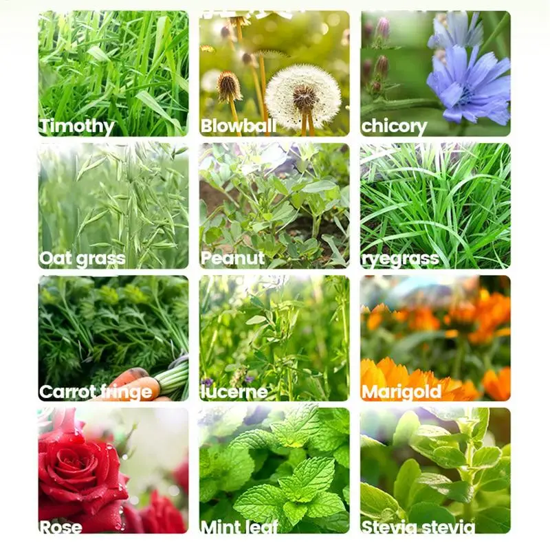 Timothy Grass Bedding 5