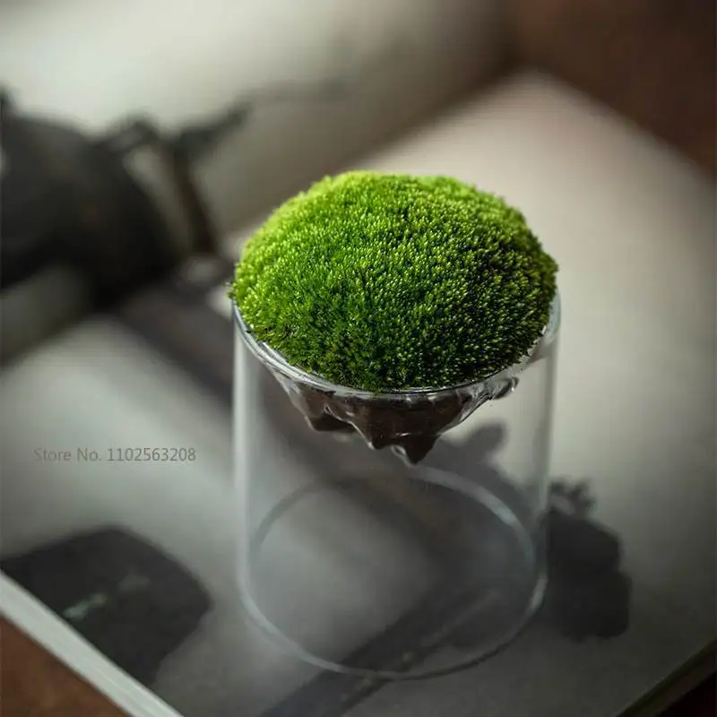 Hydroponic Vase Creative Mountain Shaped Moss Glass Bottle Vase