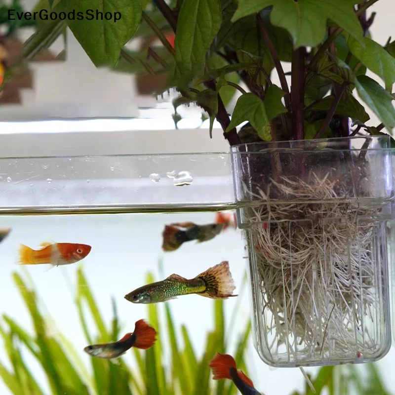 Transparent Hanging Aquarium Plant Holder for Aquatic Cultivation and Decoration