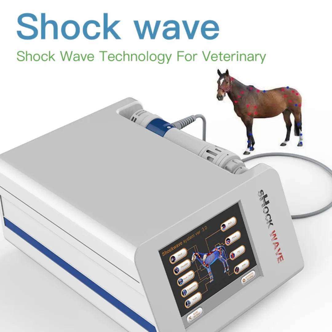 Benefit For Horse And Animals Veterinaria Shockwave Therapy, 59 OFF