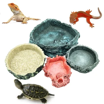 Reptile Pet Feeder Lizard Feeding Bowl