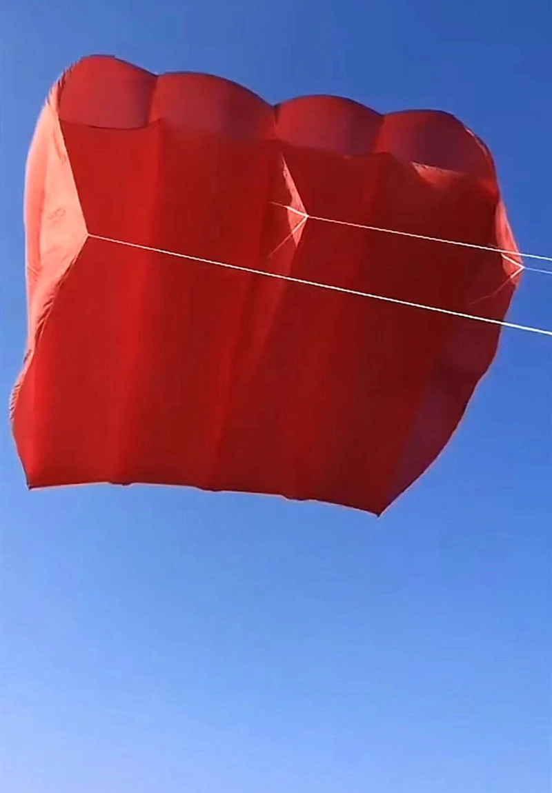 free shipping 6sqm large pilot kite flying inflatable kite parachute kite pendant professional kites and rays octopus kites koi 4