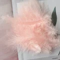 Champagne