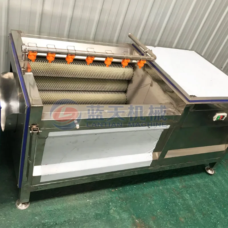 Brush roller type potatoes yam root vegetables fruit washing peeling cutting machine carrot washer walnut cleaning machine 6