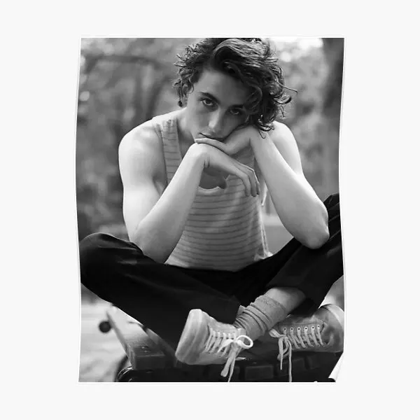 

Aesthetic Portrait Of Chalamet Poster Art Decoration Wall Vintage Painting Modern Funny Mural Print Home Room Picture No Frame