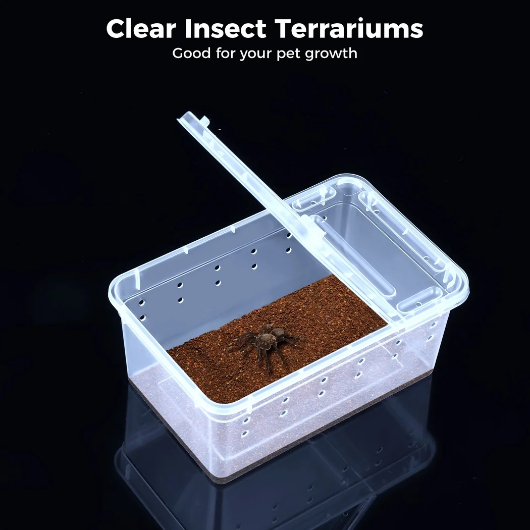 Insect Spider Terrariums Aquarium Tank Vivarium Box 8Pcs/Set For Reptile Spider Scorpion Centipede