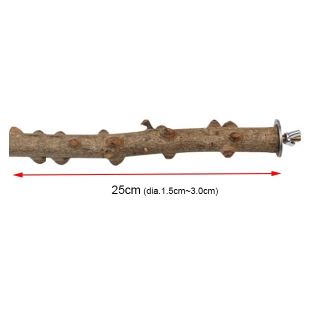 25cm