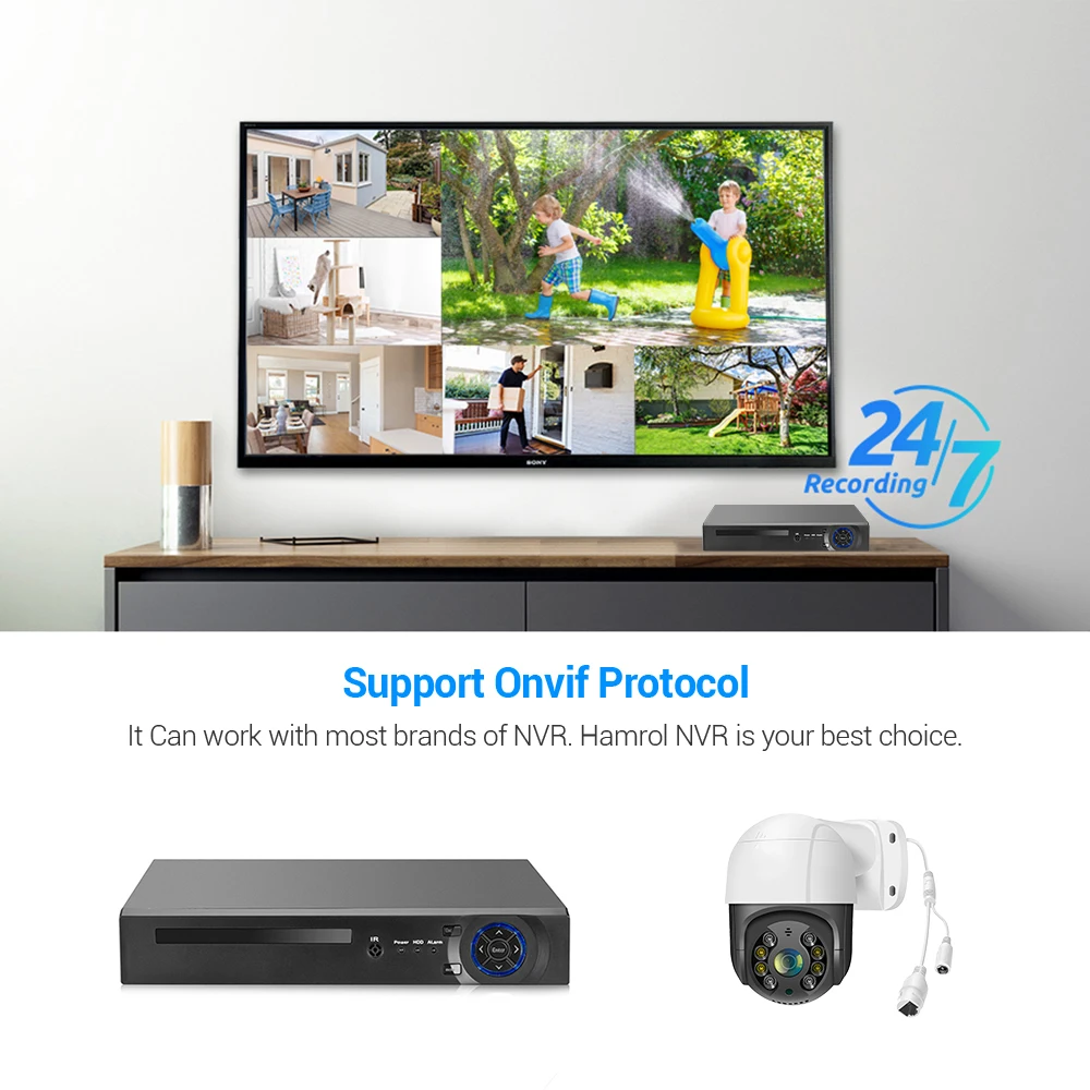 Рисунок 4 - IP-камера HAMROL