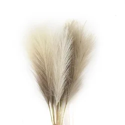 Elegant Artificial Pampas Grass for DIY Floral Arrangements and Home Decor (Set of 6) (3color Mixed)