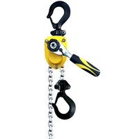 Portable Chain Hoist Light Weight Lifting Equipment 250kg 500kg Manual Lever Chain Block 1