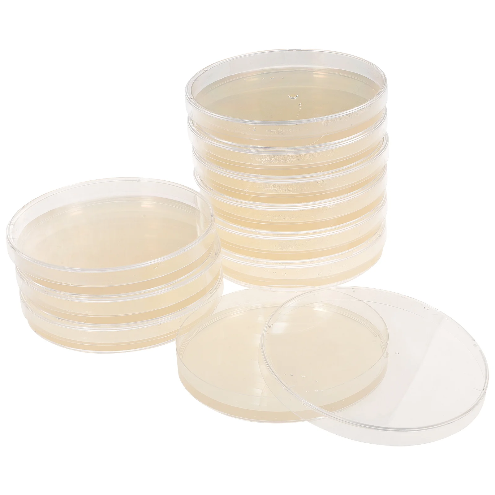 

10 Pcs Tools Nutrient Agar Plate Science Fair Projects Tissue Culture Plates Prepoured Petri Dish Child