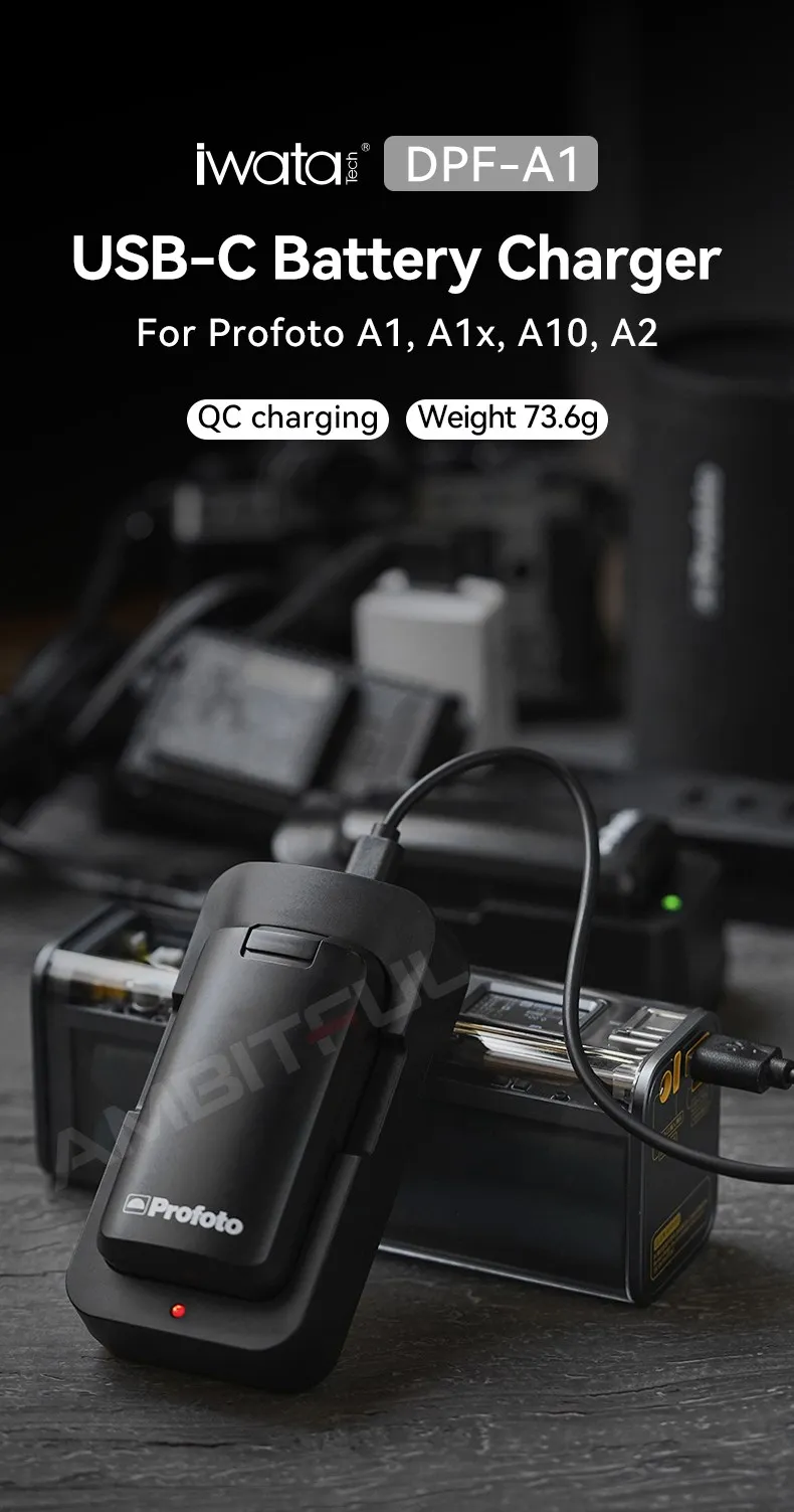 IWATA DPF-A1 USB-C Battery Charger Portable Lightweight Safe Charging for A1 A1x