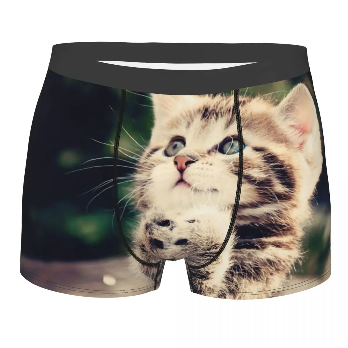 

Мужское нижнее белье для влюбленных кошек, боксеры с юмором, дышащие мужские трусы