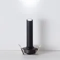 Cold light 6000k