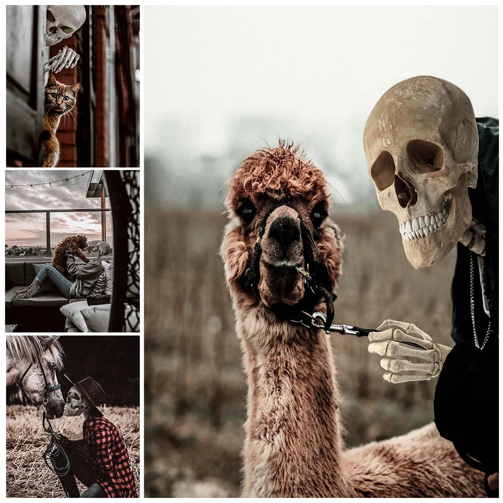 

Mr. Skeleton And His Pets Weird And Warm Photography Art Poster Print Home Decor Moden Surreal Gothic Wall Art Canvas Painting