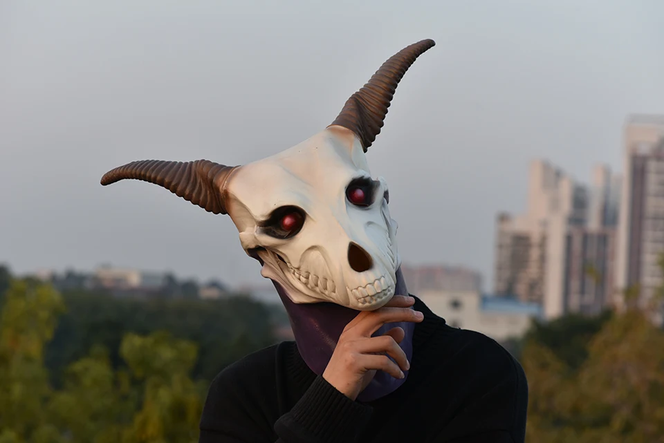 DSC_4204
