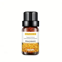 Organic Essential Oils Aromatherapy Kit - 12 Scent Collection (10ml) (Fragrans)