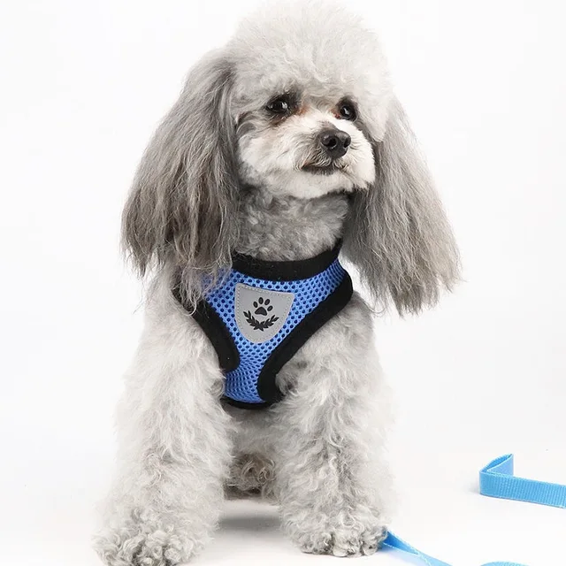 Breathable Mesh Cat Small Dog Harness And Leash Set Adjustable Cat Harnesses Puppy Harness Vest For French Bulldog Chihuahua Pug 2
