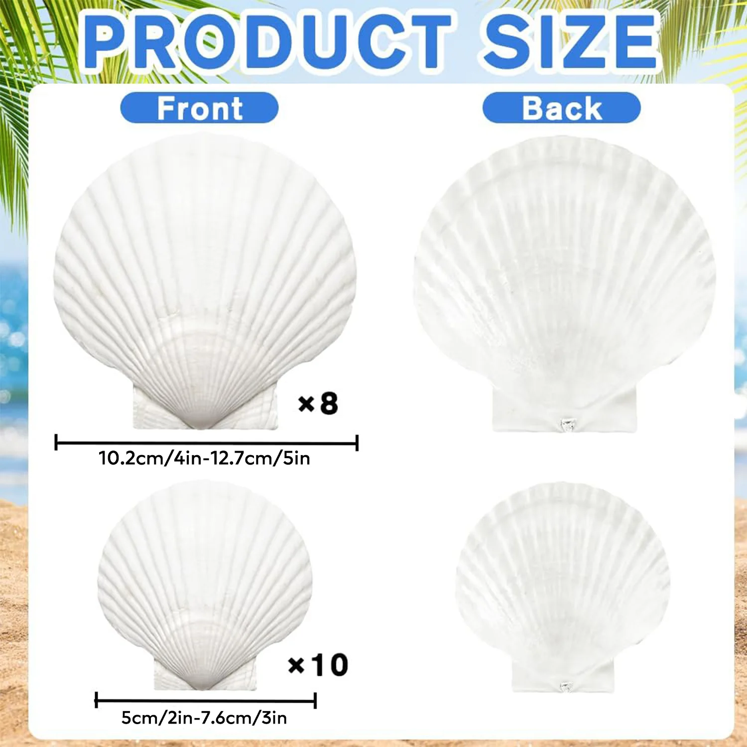 18개의 천연 가리비 껍데기, 수제 DIY 페인팅, 베이킹, 해변 결혼식 및 집 장식에 적합 (두 가지 크기)