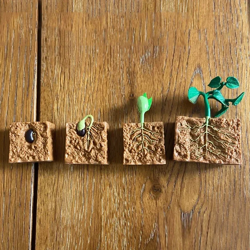 Animal Life Cycle Board Children Toys Montessori Teaching Aids Plant Animal Growth Cycle Model Set preschool cognitive Toys 6