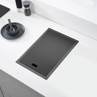 Hidden black Kitchen sink Single bowl Bar Small Size sink Stainless Steel Balcony sink Concealed black kitchen Bar 1