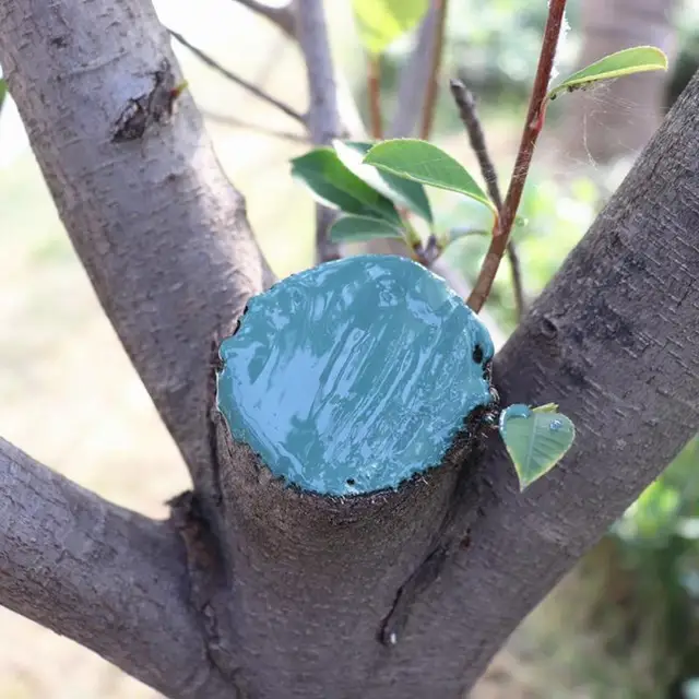 Fa Seb Bonsai Vágott Paszta Kenet Ágens Metsző Összetett Tömítés Kefével Vízálló Tömítő Ragasztó Tapadás Promóter - Image 2