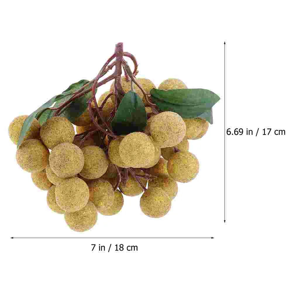 ǹ  Longan     , ¥ ǰ öƽ , ΰ ùķ̼ ̴Ͼó