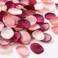 Pink Red