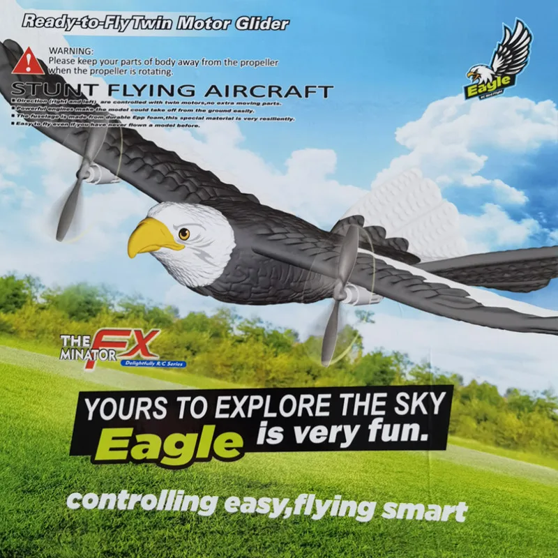 LIFEA FOLORA FX651 Planeur RC Aigle Chauve Mousse - Avion Électrique Enfant