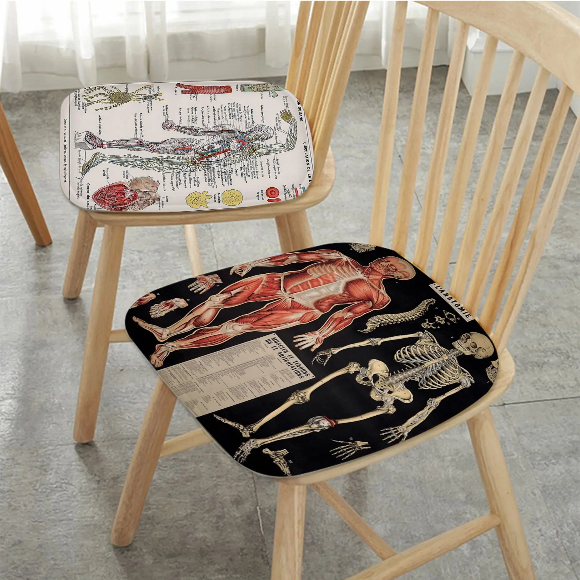 

Anatomical Skeleton Medicine Medical Simplicity Multi-Color Chair Cushion Soft Car Seat Comfort Breathable 45x45cm Sofa Cushion