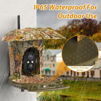 Smart Bird Feeder Camera Solar Powered Bird Watching Camera Wireless Outdoor 1080P HD 7W Solar Panel Bird Species 5