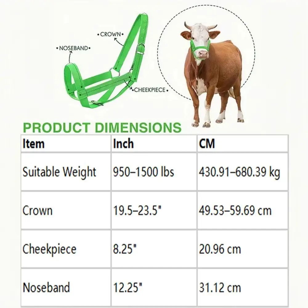 Capezza regolabile per bovini con guinzaglio - immagine 6