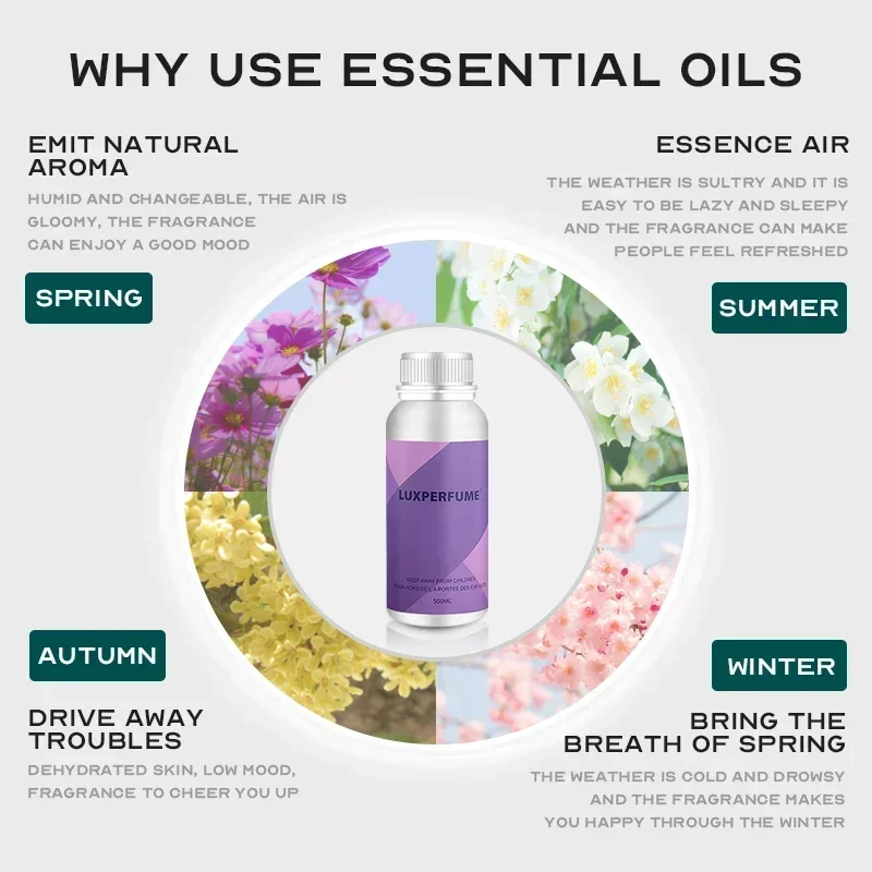 قسط الزيوت العطرية الناشر الزيوت العطرية النباتية...