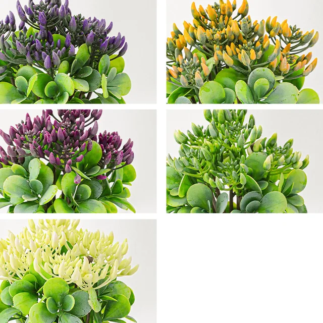 Mesterséges Zöld Zamatos Növények Hamis Bonsai Edényekkel Dekoratív Asztali Dekorációs Kerti Edények És Ültetvények - Image 5
