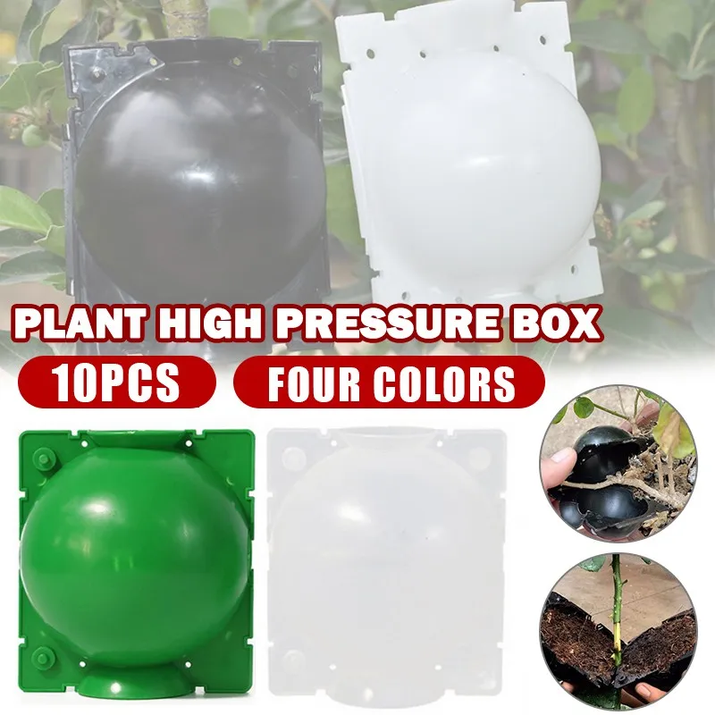 10pcs Grafted Rooting Ball Rooter Tree High Altitude Pressure Branch Plant Propagation Ball Plant Hydroponics Propagation Box