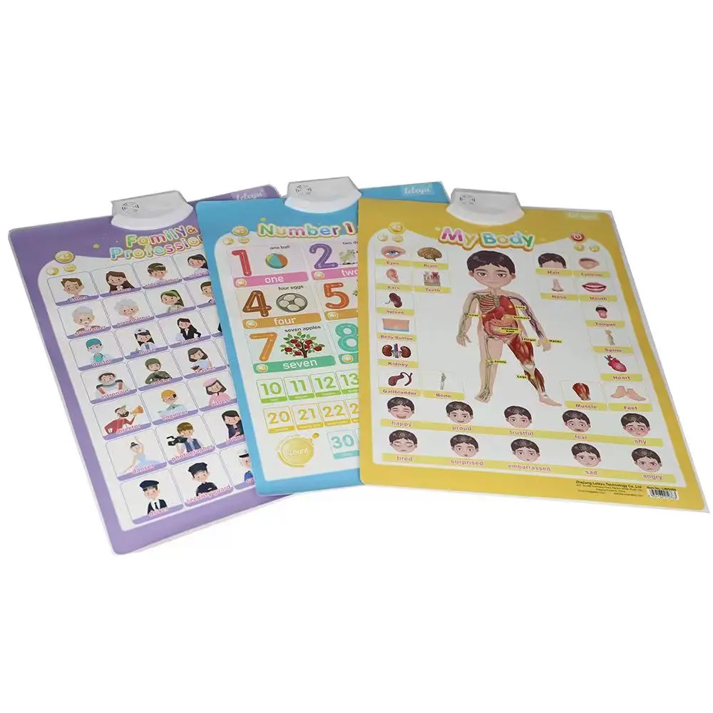 My Body PVC Kid Cognitive ABC Wall Chart Educational Audio Talking Poster Baby Alphabet Vehicle Fruit Anatomy Early Learning 4