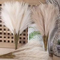 55CM 5/1PCS Fluffy Pampas Grass Boho Decor Flower Fake Plant Reed Simulated Wedding Party Christmas Home Decor Artificial Flower 1