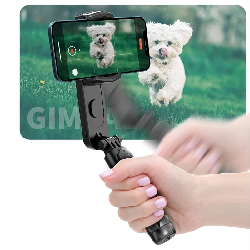 Stabilisateur Smartphone Bluetooth avec Trépied et Perche Selfie