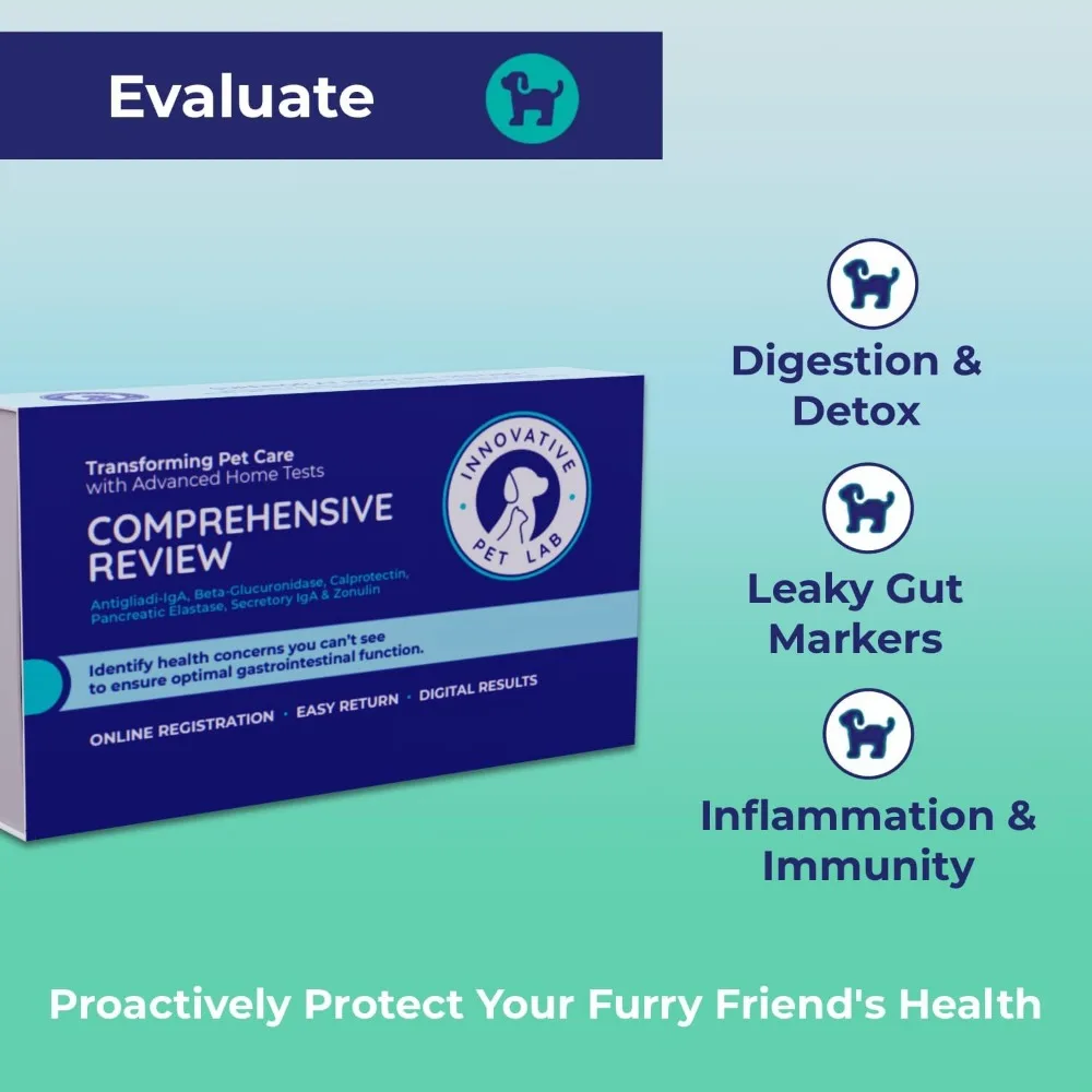 Comprehensive Review at Home Test Kit for Dog Digestive Health Allergy Causes Gut Microbiome Symptoms Evaluation Expert
