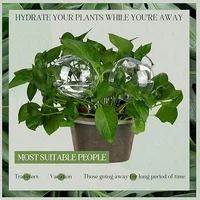 500Ml Automatic Drip Irrigation System Automatic Watering Flower Pot Ball Plant Irrigation Ball Device 5